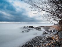 15-01-53-Agnes-D-RIves