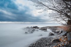 15-01-53-Agnes-D-RIves