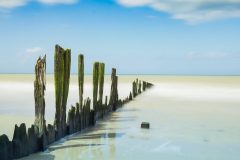 15-03-49-Agnes-D-quand-lun-finit