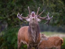 02-01-57-Alain-C_DSC5984