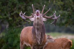 02-01-57-Alain-C_DSC5984