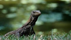 18-01-42-Picod-FPF-couleur_10