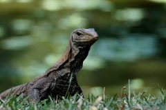 18-01-42-Picod-FPF-couleur_10