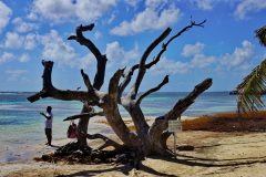 18-04-34-Picod-FPF-couleur_3