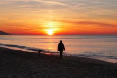 18-05-34-Picod-FPF-couleur_1