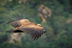 07-04-44-Jacques-MARCEL-Un-dernier-coup-doeil