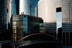 entre chiens et loups