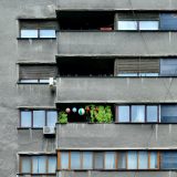 10-01-51-Philippe-S-Balcon-fleuri