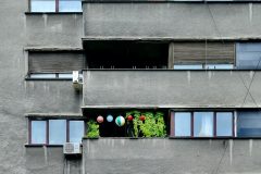 10-01-51-Philippe-S-Balcon-fleuri