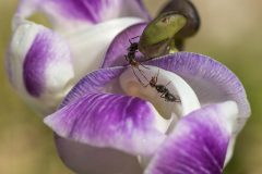 11-05-45-Robert-M-C-18012018-_RCM7830