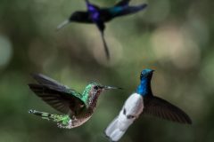 11-05-45-Robert-M-C-28012018-_RCM6328