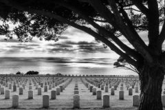 04-49-Agnes-D-quoi-_-leternite