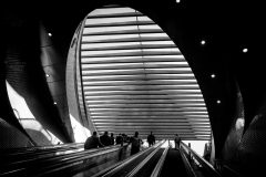 03-42-Jean-C-Star-gate