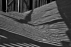 01-53-Lysiane-Ombres-sur-le-ble