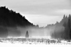 05-41-Lysiane-Jura