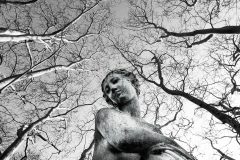 05-45-Michel-P-03032013-_3030069